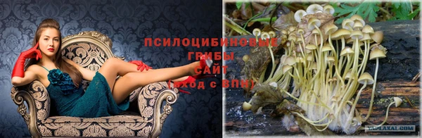 меф Володарск