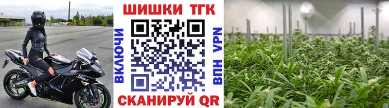 Бошки марихуана VHQ  Купить закладки  Сорск 